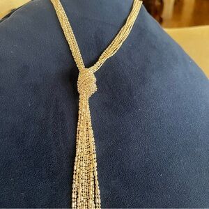 Elegant Silver  Tassel Necklace